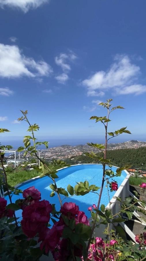 Studio Geek Villa - Open Space - 5M From 5 Top Attractions - Pool All Year Round, Dining Pergola, Barbecue - Funchal Matrix Holiday Home מראה חיצוני תמונה